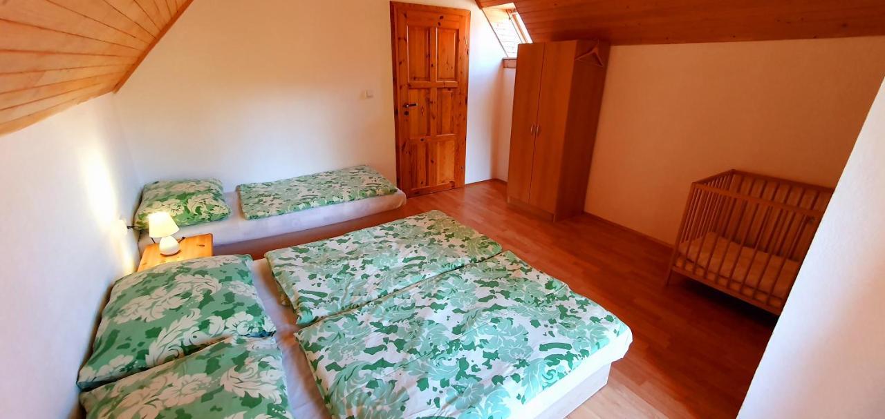 Vilka Cibulka A Chata Cesnacik Ižipovce 외부 사진
